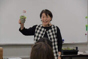 多肉植物の寄せ植えの講師