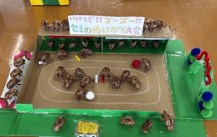 ぬけがら