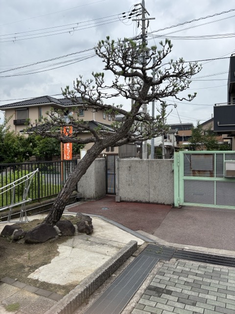 門松アフター
