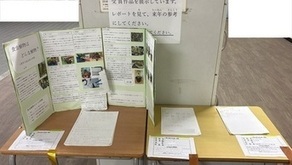 展示の様子