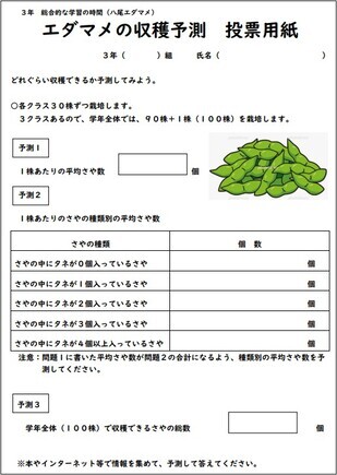 予測投票用紙