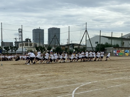 tsunahiki