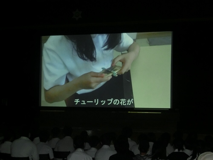 sousaku