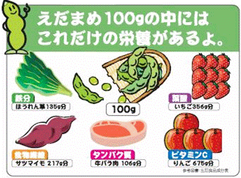 枝豆の栄養説明