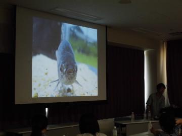 大和川で捕まえた生き物をスライドを用いて解説している様子