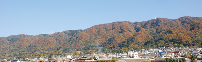 秋の高安山